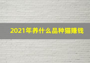 2021年养什么品种猫赚钱