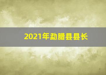 2021年勐腊县县长