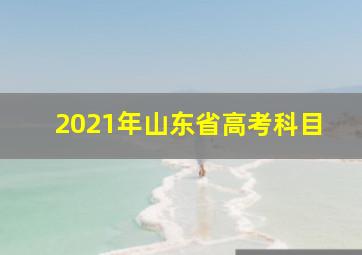 2021年山东省高考科目