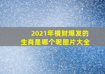 2021年横财爆发的生肖是哪个呢图片大全