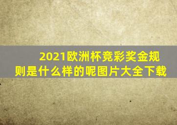 2021欧洲杯竞彩奖金规则是什么样的呢图片大全下载