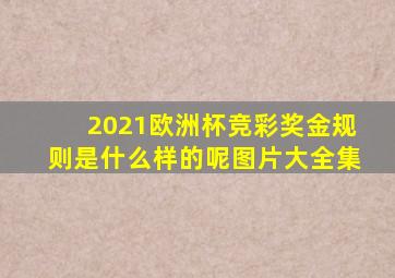 2021欧洲杯竞彩奖金规则是什么样的呢图片大全集