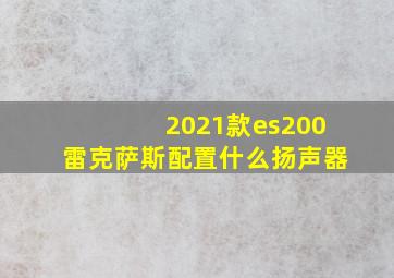 2021款es200雷克萨斯配置什么扬声器