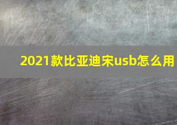 2021款比亚迪宋usb怎么用