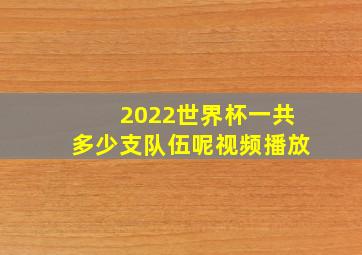 2022世界杯一共多少支队伍呢视频播放