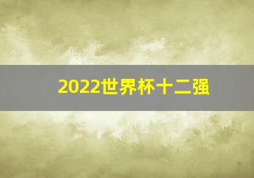 2022世界杯十二强