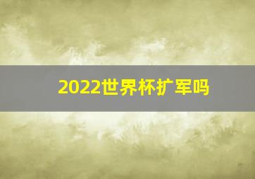 2022世界杯扩军吗