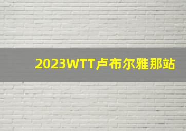 2023WTT卢布尔雅那站