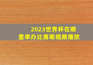 2023世界杯在哪里举办比赛呢视频播放