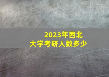 2023年西北大学考研人数多少