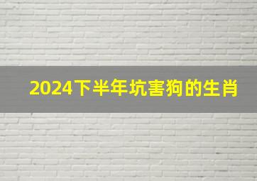 2024下半年坑害狗的生肖