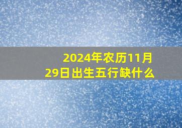 2024年农历11月29日出生五行缺什么