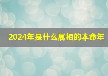 2024年是什么属相的本命年