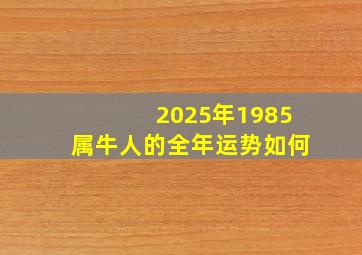 2025年1985属牛人的全年运势如何