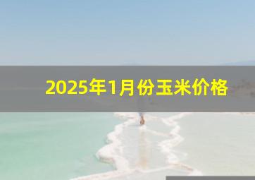 2025年1月份玉米价格