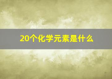 20个化学元素是什么