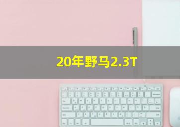 20年野马2.3T