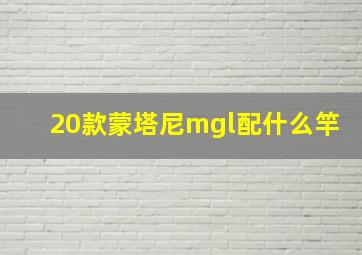 20款蒙塔尼mgl配什么竿