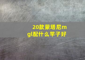 20款蒙塔尼mgl配什么竿子好