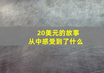 20美元的故事从中感受到了什么