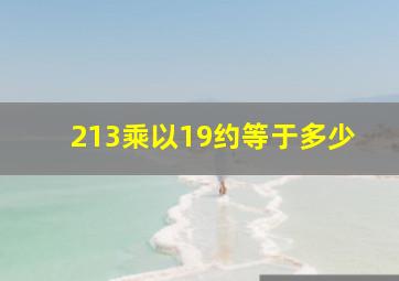 213乘以19约等于多少