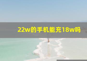 22w的手机能充18w吗