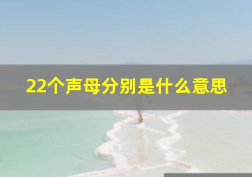 22个声母分别是什么意思