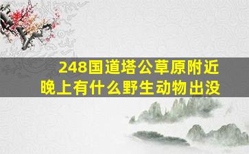 248国道塔公草原附近晚上有什么野生动物出没