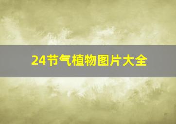 24节气植物图片大全