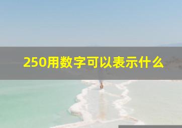 250用数字可以表示什么