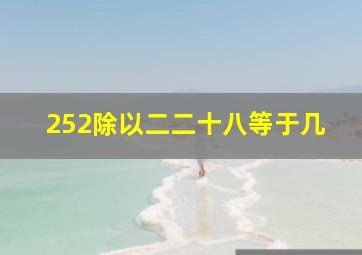 252除以二二十八等于几