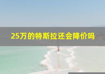 25万的特斯拉还会降价吗