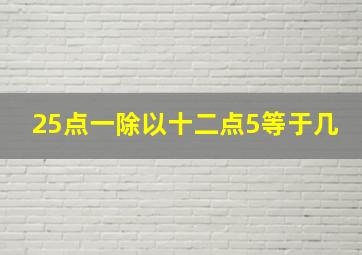 25点一除以十二点5等于几