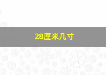 28厘米几寸