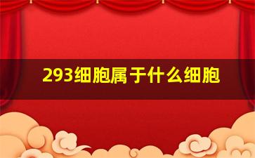 293细胞属于什么细胞