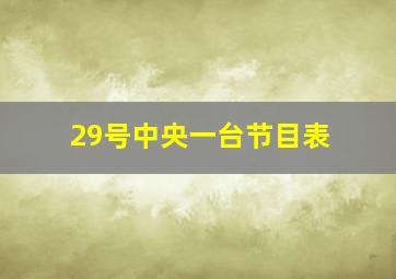 29号中央一台节目表