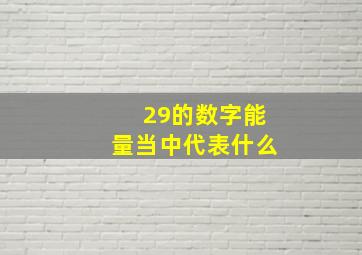 29的数字能量当中代表什么