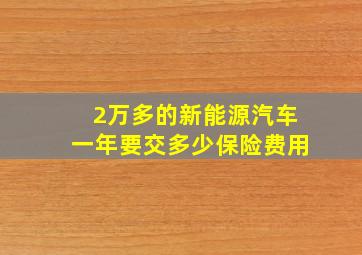 2万多的新能源汽车一年要交多少保险费用