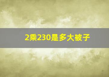 2乘230是多大被子