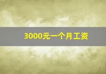 3000元一个月工资