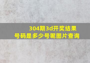 304期3d开奖结果号码是多少号呢图片查询