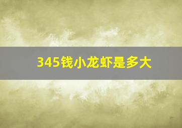 345钱小龙虾是多大