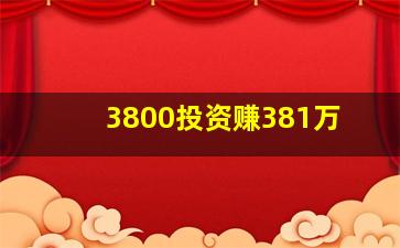 3800投资赚381万