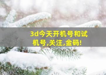 3d今天开机号和试机号,关注,金码!