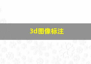 3d图像标注