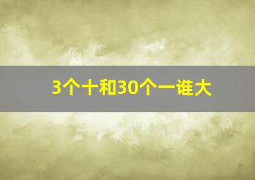 3个十和30个一谁大