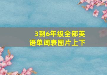 3到6年级全部英语单词表图片上下