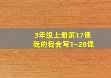 3年级上册第17课我的我会写1~28课