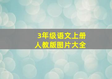 3年级语文上册人教版图片大全