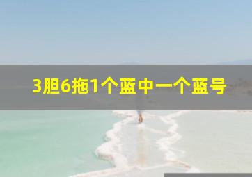 3胆6拖1个蓝中一个蓝号